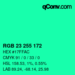 Color code: RGB 23 255 172 | qconv.com
