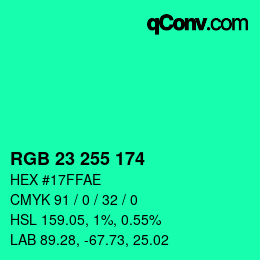 Color code: RGB 23 255 174 | qconv.com