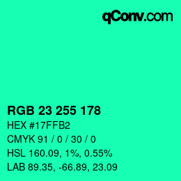 Color code: RGB 23 255 178 | qconv.com