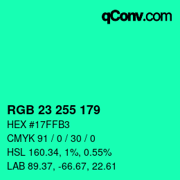 Color code: RGB 23 255 179 | qconv.com