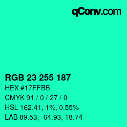Color code: RGB 23 255 187 | qconv.com