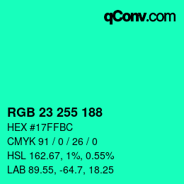 Color code: RGB 23 255 188 | qconv.com