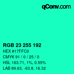 Color code: RGB 23 255 192 | qconv.com