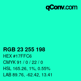 Color code: RGB 23 255 198 | qconv.com
