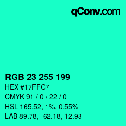 Color code: RGB 23 255 199 | qconv.com