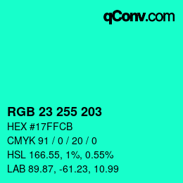 Color code: RGB 23 255 203 | qconv.com