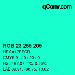 カラーコード: RGB 23 255 205 | qconv.com