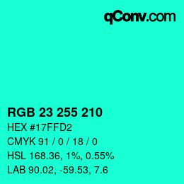 Color code: RGB 23 255 210 | qconv.com