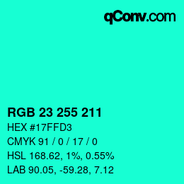 Color code: RGB 23 255 211 | qconv.com