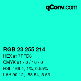 Color code: RGB 23 255 214 | qconv.com
