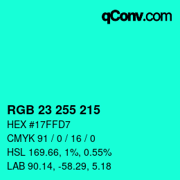 Color code: RGB 23 255 215 | qconv.com