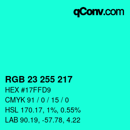 Color code: RGB 23 255 217 | qconv.com