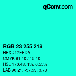 Color code: RGB 23 255 218 | qconv.com