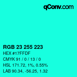 カラーコード: RGB 23 255 223 | qconv.com