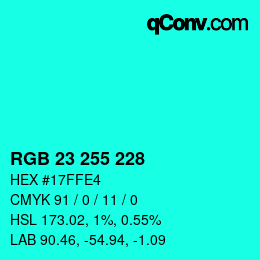 Color code: RGB 23 255 228 | qconv.com