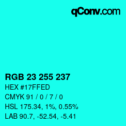 Color code: RGB 23 255 237 | qconv.com