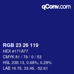 Color code: RGB 23 26 119 | qconv.com