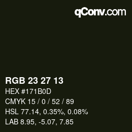 カラーコード: RGB 23 27 13 | qconv.com