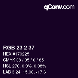 カラーコード: RGB 23 2 37 | qconv.com