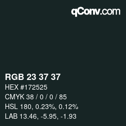 颜色代码: RGB 23 37 37 | qconv.com