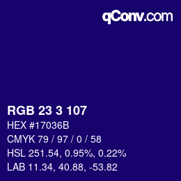 Color code: RGB 23 3 107 | qconv.com