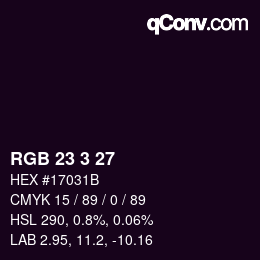 カラーコード: RGB 23 3 27 | qconv.com