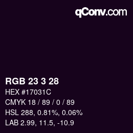 カラーコード: RGB 23 3 28 | qconv.com