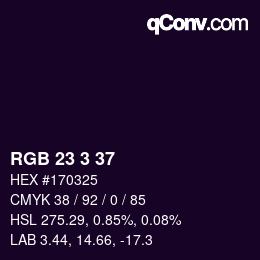 Color code: RGB 23 3 37 | qconv.com
