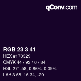 Color code: RGB 23 3 41 | qconv.com