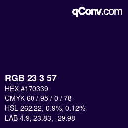 Color code: RGB 23 3 57 | qconv.com