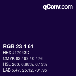 Color code: RGB 23 4 61 | qconv.com