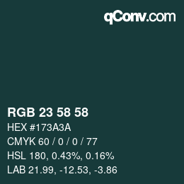 Color code: RGB 23 58 58 | qconv.com