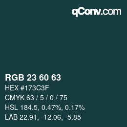 カラーコード: RGB 23 60 63 | qconv.com