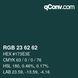 Color code: RGB 23 62 62 | qconv.com