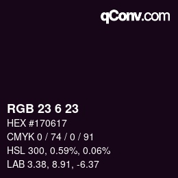 Color code: RGB 23 6 23 | qconv.com