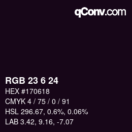 カラーコード: RGB 23 6 24 | qconv.com