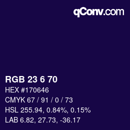 Color code: RGB 23 6 70 | qconv.com