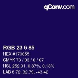 Color code: RGB 23 6 85 | qconv.com