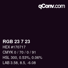 Color code: RGB 23 7 23 | qconv.com