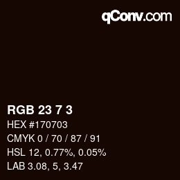 颜色代码: RGB 23 7 3 | qconv.com