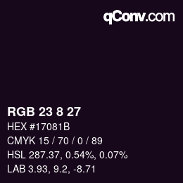 Color code: RGB 23 8 27 | qconv.com