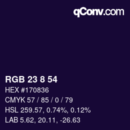 Color code: RGB 23 8 54 | qconv.com
