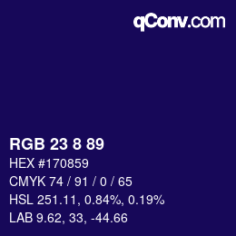 Color code: RGB 23 8 89 | qconv.com