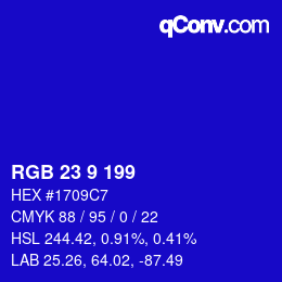 Color code: RGB 23 9 199 | qconv.com