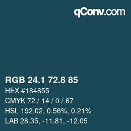 Color code: RGB 24.1 72.8 85 | qconv.com