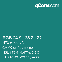 Color code: RGB 24.9 128.2 122 | qconv.com