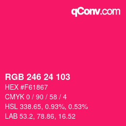 Color code: RGB 246 24 103 | qconv.com