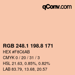 Color code: RGB 248.1 198.8 171 | qconv.com
