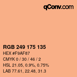 Color code: RGB 249 175 135 | qconv.com
