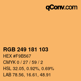 Color code: RGB 249 181 103 | qconv.com